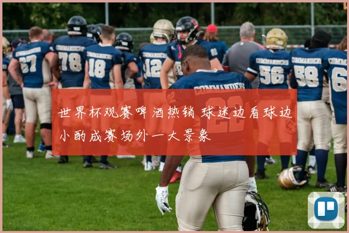 世界杯观赛啤酒热销 球迷边看球边小酌成赛场外一大景象