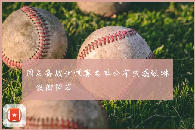 国足备战世预赛名单公布武磊张琳芃领衔阵容