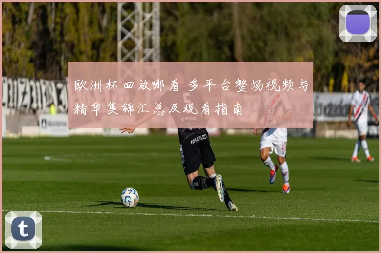 欧洲杯回放哪看 多平台整场视频与精华集锦汇总及观看指南