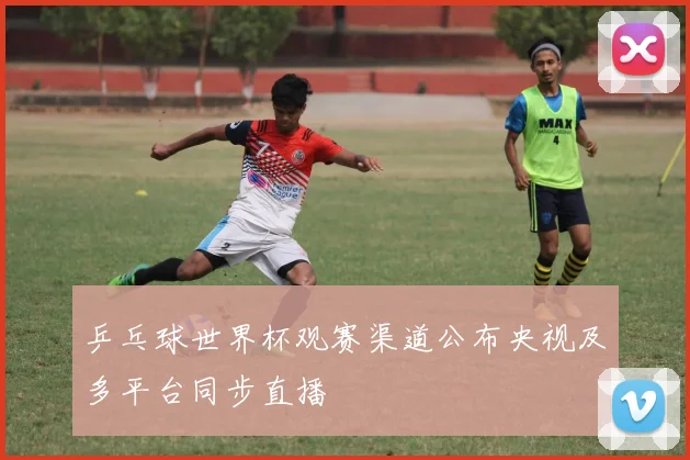 乒乓球世界杯观赛渠道公布央视及多平台同步直播