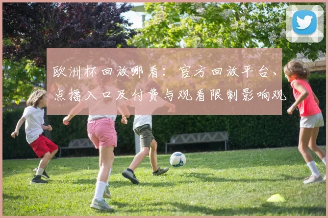 欧洲杯回放哪看：官方回放平台、点播入口及付费与观看限制影响观赛