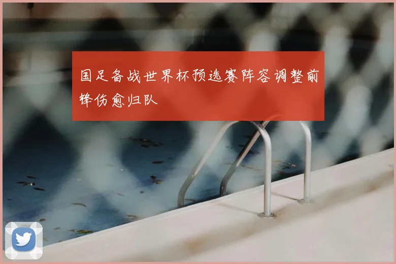 国足备战世界杯预选赛阵容调整前锋伤愈归队