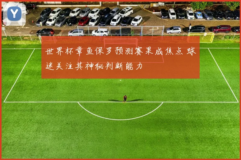 世界杯章鱼保罗预测赛果成焦点 球迷关注其神秘判断能力